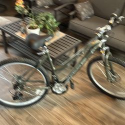 Woman’s 26 in bike