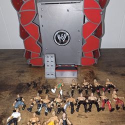 WWE Micro AGRESSION 