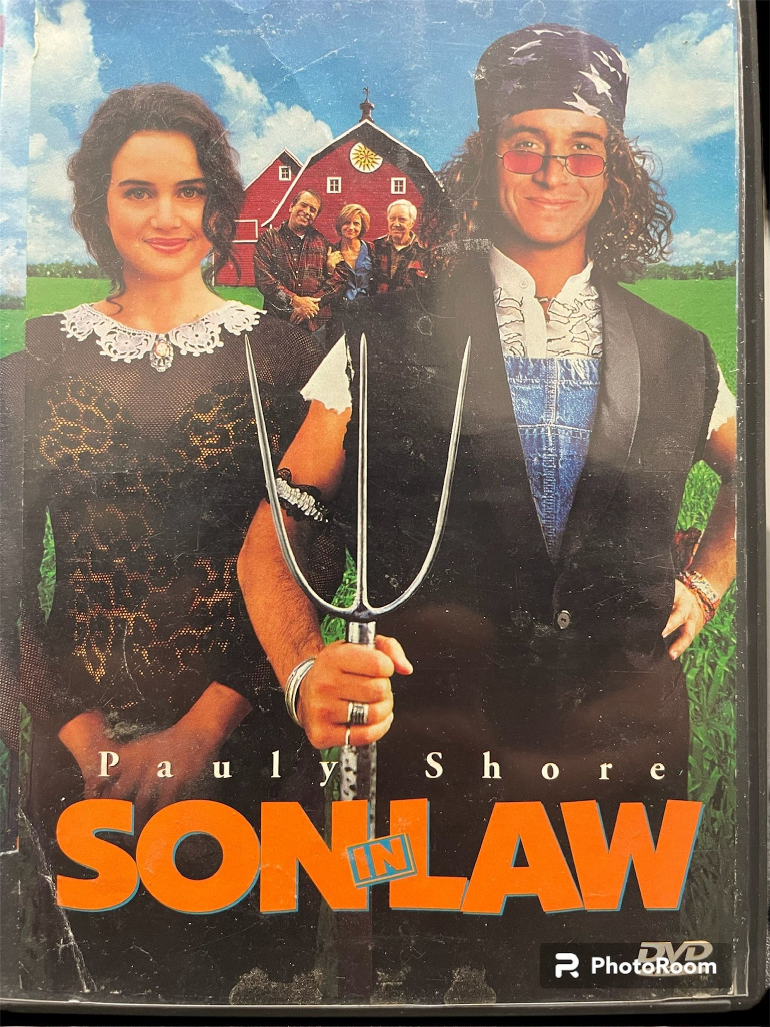 SON-IN-LAW (DVD)