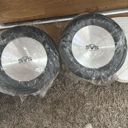 SVS The Bass Authority 13” Speakers 