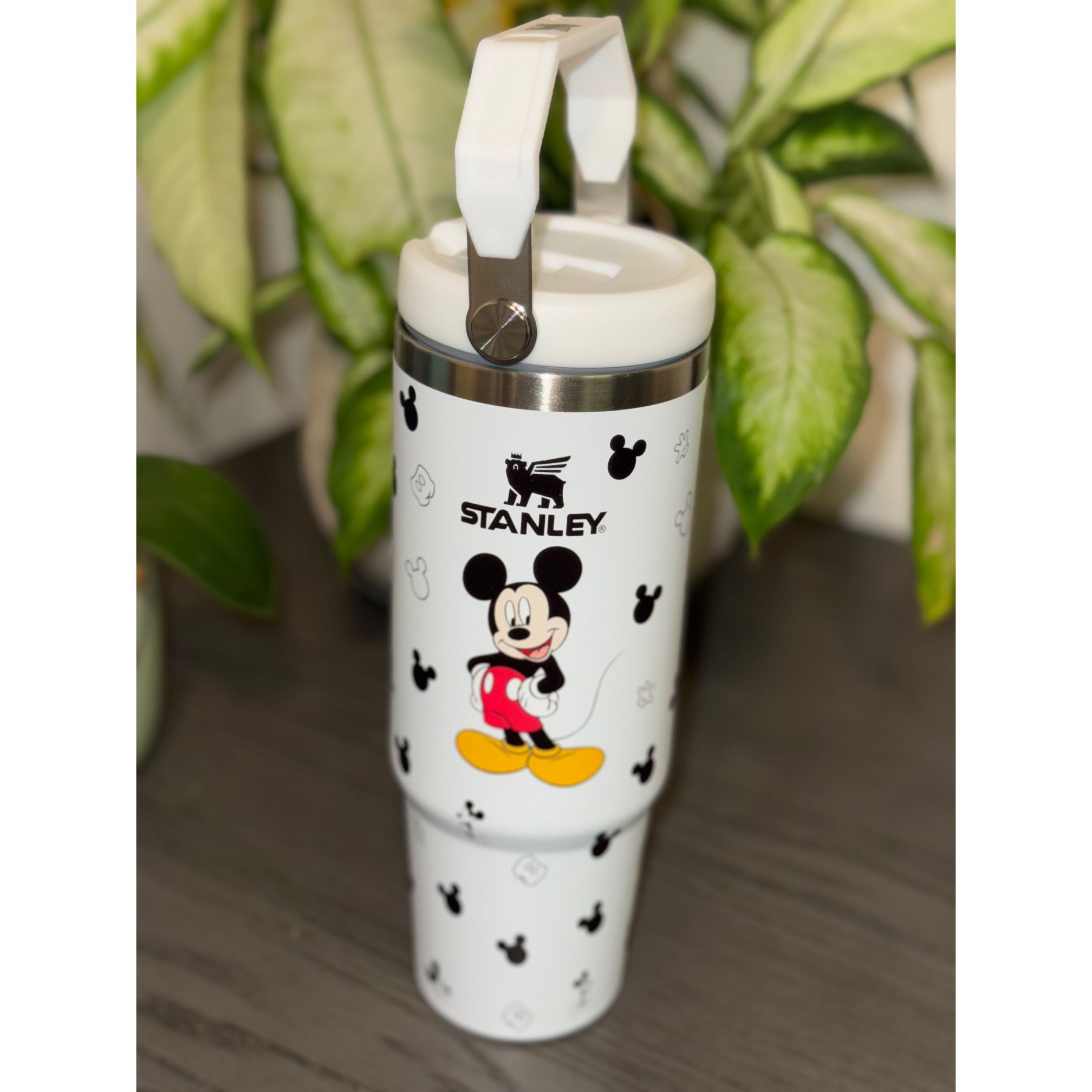 Mickey & Minnie 30oz Stanley