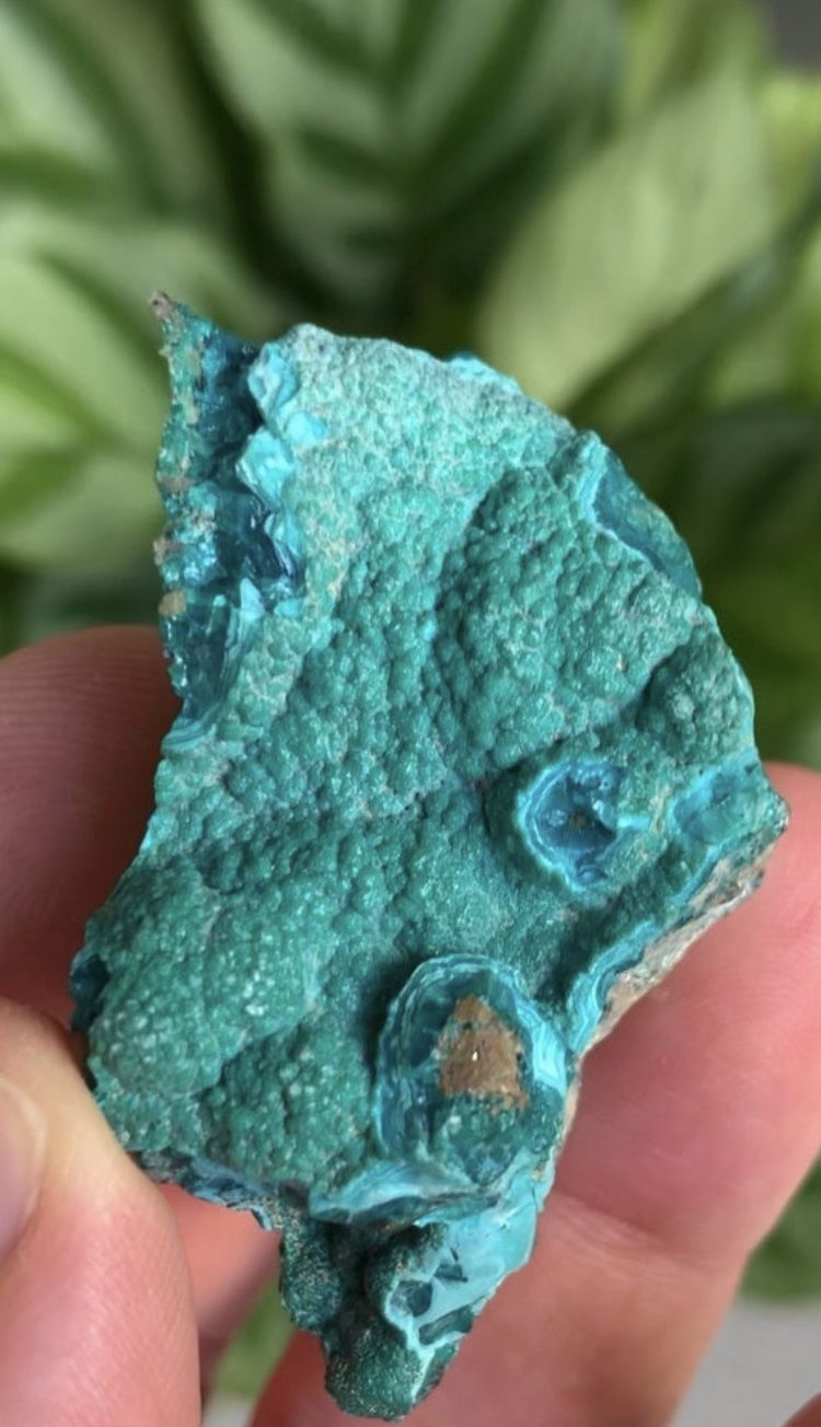 Intense Blue Chrysacolla