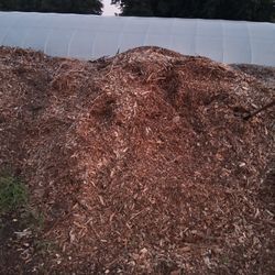 Wood Chips