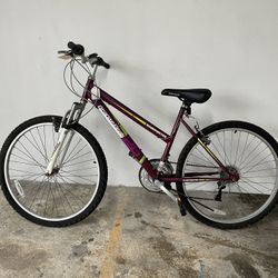 Road master Graphite Peak Bike