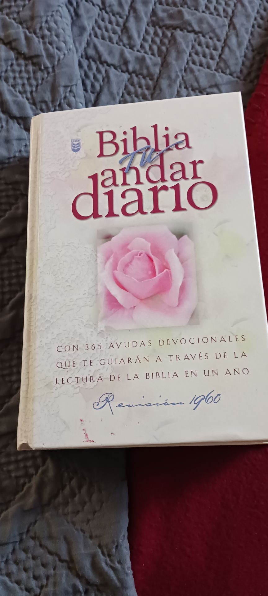 Bonita biblia