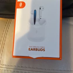 True Wireless Stereo Earbuds 