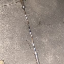 Standard EZ Curl Bar 25lbs 
