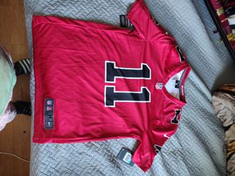 Falcons