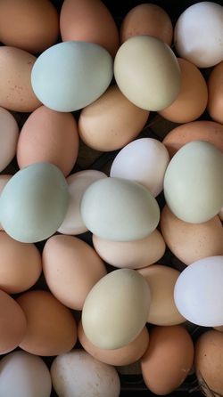 Farm Fresh Eggs