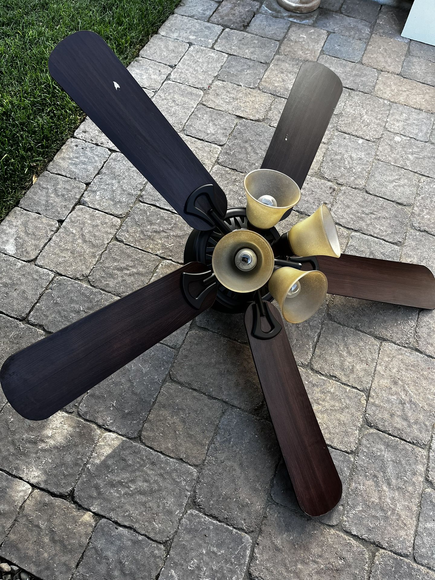 Ceiling Fan