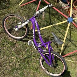 Little Girls Bike ,  Girlstrack Next