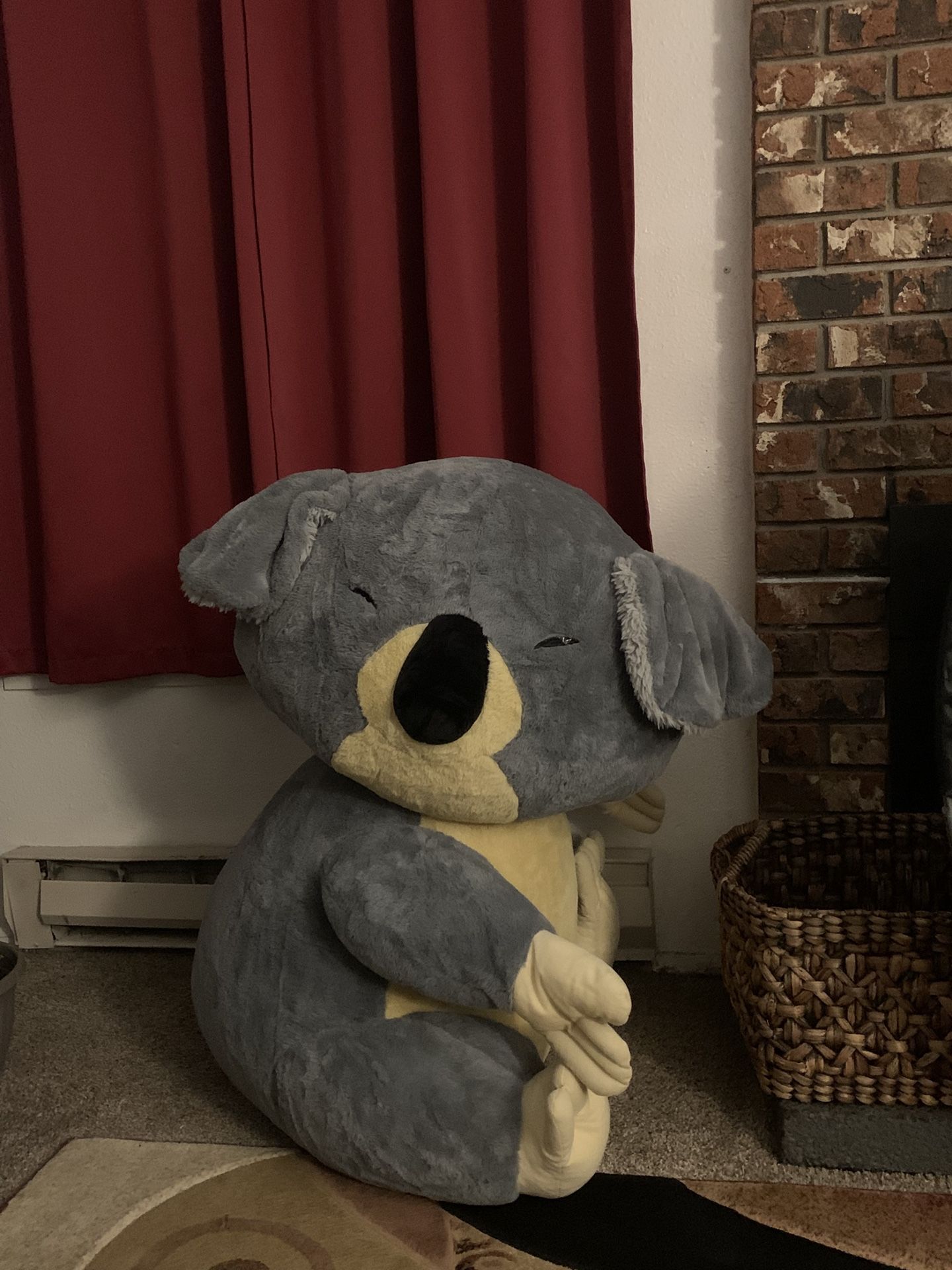 3 Foot Koala