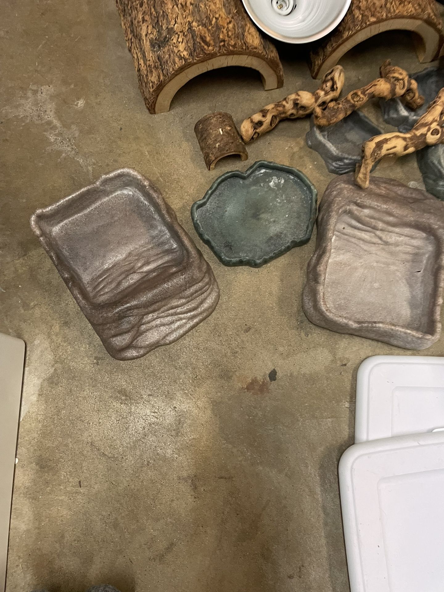 Reptile Stuff