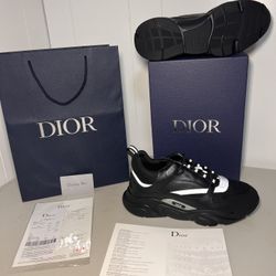 Dior B22 Reflective 