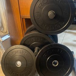SET OF ROGUE HG 2.0 BUMPER PLATES  (PAIRS OF)  : 45s  25s  10s   
(Used 1 Time/Never Dropped) 