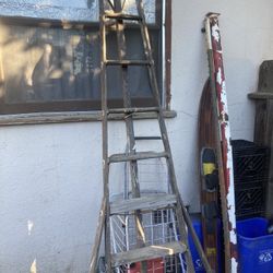 Antique Fruit Picking Ladder