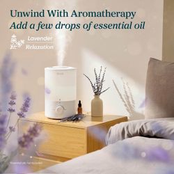 Humidifier Essential Oil Diffuser Rapid Ultrasonic Humidification 3L Water Tank
