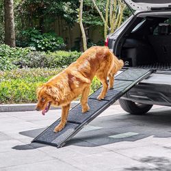 Dog Ramp for Car, 63" Folding Pet Ramps for Large Dogs up to 200 lb, Portable Dog Pet Stairs Ramp for SUV Truck Bed Couch, Indoor and Outdoor Use with