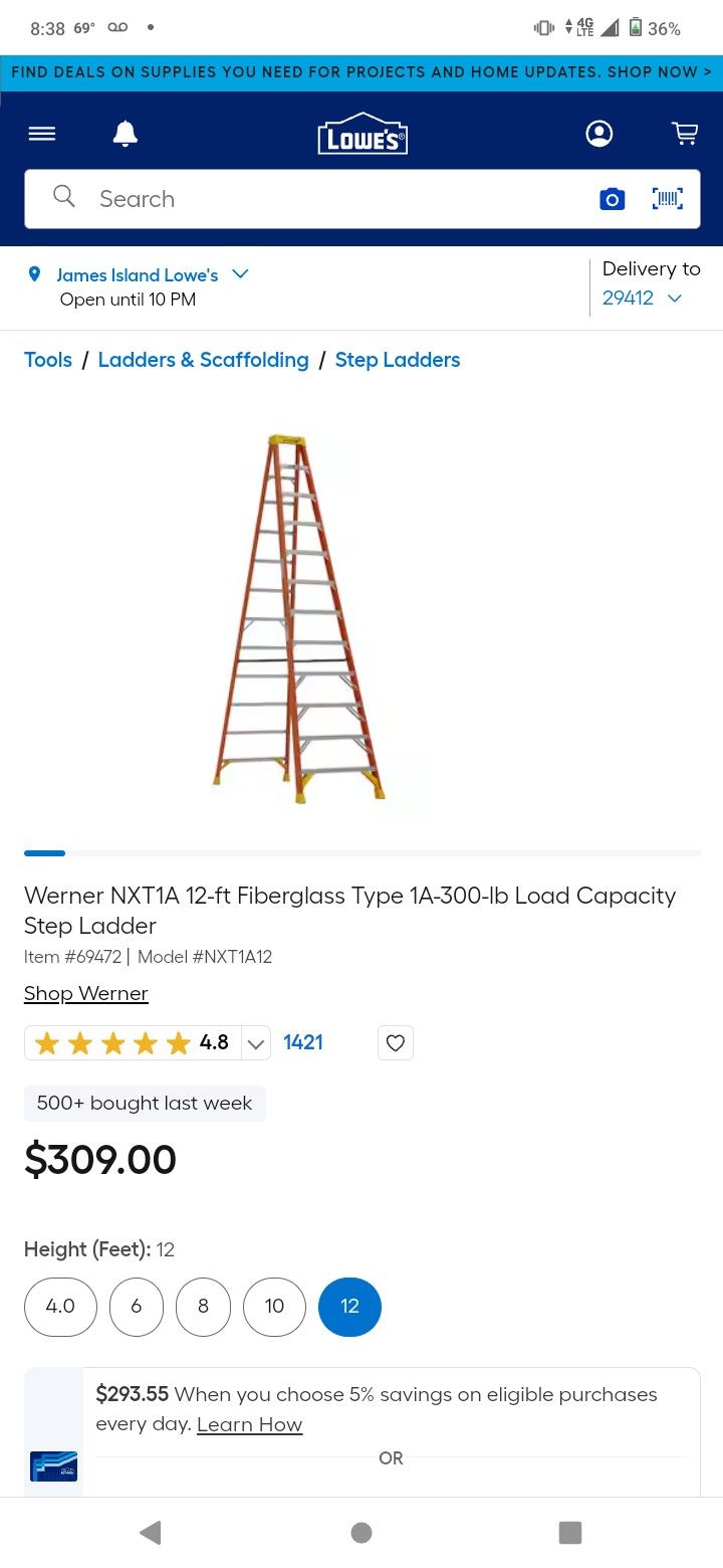 Werner 12ft Ladder