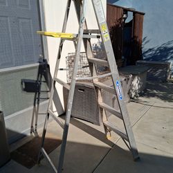 Ladder 6ft