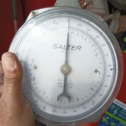 Portable Scale