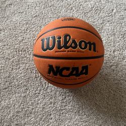 Basketball Ball “Wilson Evo”