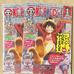 One Piece Magazine Vol 20 with Promo Card Included