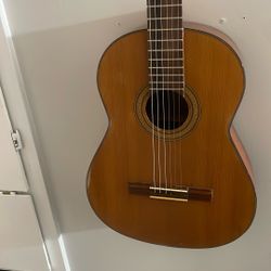 Acoustic Guitar 