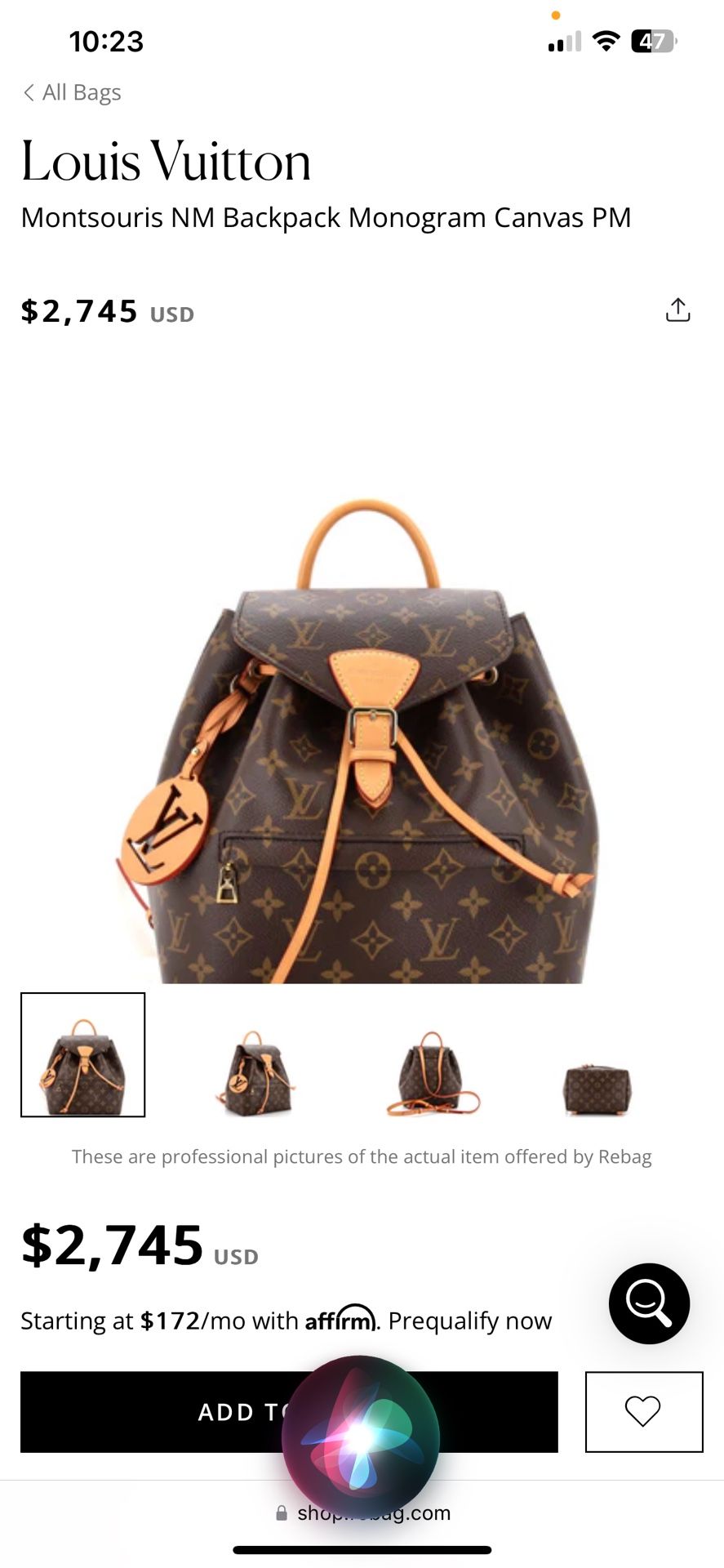 Louis Vuitton Montsouris PM Backpack