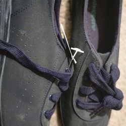 Grasshopper 
