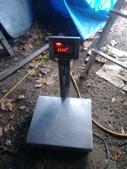 Packaging scale