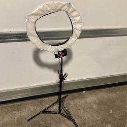 Diva Ring Light Supernova With Stand| Black With LED Circle Ring Studio Light | Video/ Streaming Equipment 
