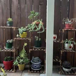 Flower shelf , Plant stand