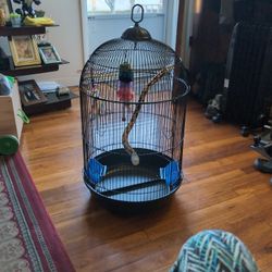 Bird Cage