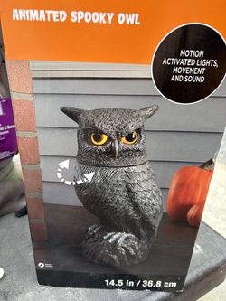 NEW Animated Spooky Owl By Ashland Halloween