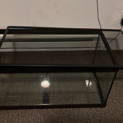 Glass Terrarium