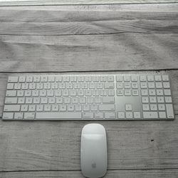 Apple Keyboard with numeric keypad and Apple Mouse - Both wireless & rechargeable 
