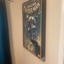 Spider-Man And Marvel Posters
