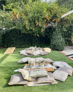Picnic Set Up
