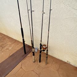 Fishing Rod Bundle 