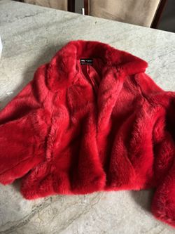 Zara Red Jacket 