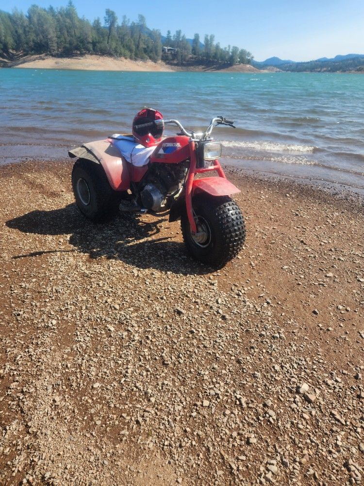 3 Wheeler
