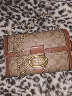 Coach Signature Crossbody Bag with Chain Strap