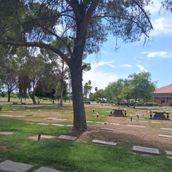 Cemetary Plot For Sale By Owner