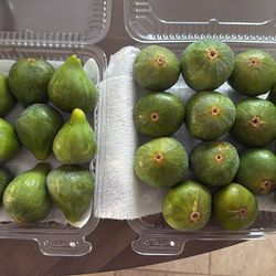 Fresh Figs