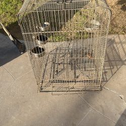 Bird Cage 