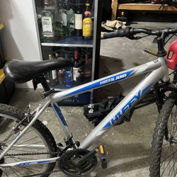 Adult Mountain Bike