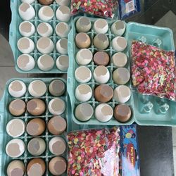 Egg Shells And Confetti 