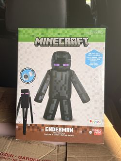 Minecraft Costume
