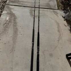 Shimano Tallus And Teramar Fishing Rods